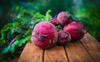 Červená řepa (Beta vulgaris)